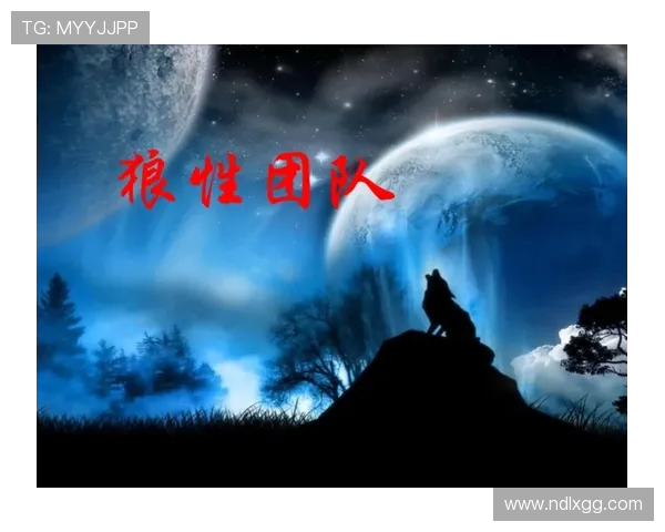 杭州极限运动队状态深度对比与分析揭秘团队实力与发展潜力 杭州极限运动队状态深度对比与分析揭秘团队实力与发展潜力