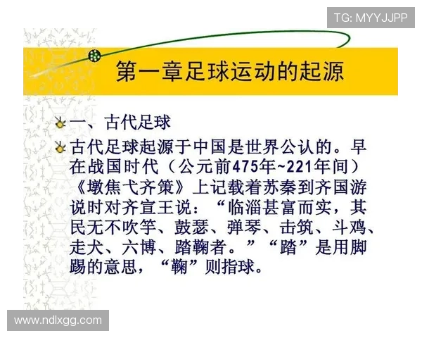 杭州足球队的节奏革新探索与实践：重塑城市足球文化的新篇章