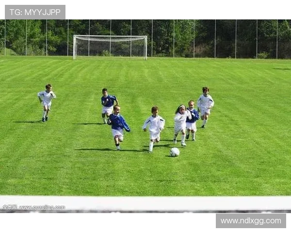 武汉足球队的耐力挑战与成长之路探讨 武汉足球队的耐力挑战与成长之路探讨