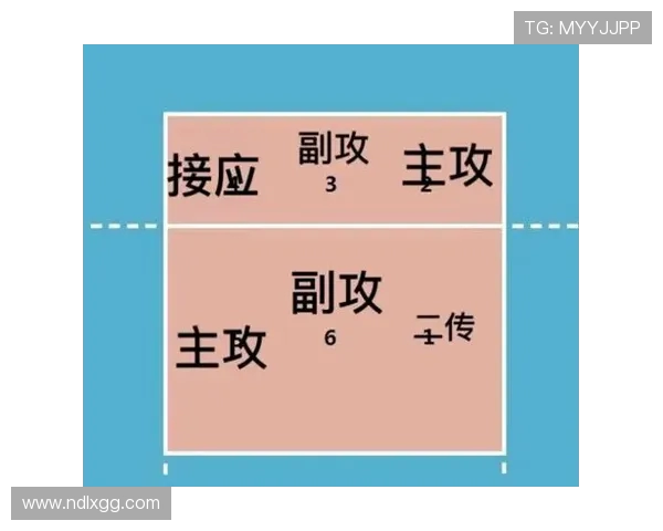 深入分析杭州排球队的控制打法及其战术优势与应用策略