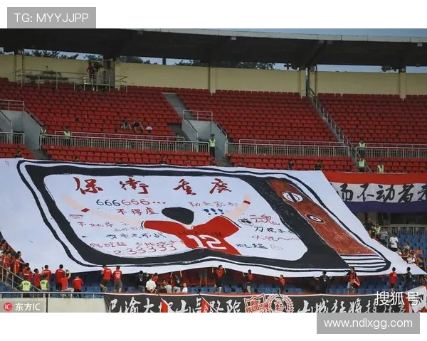 重庆排球队逆袭联合会杯的传奇之路与辉煌时刻回顾