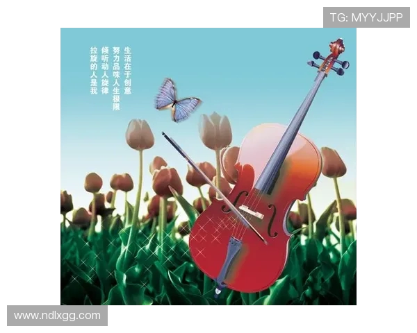 廖三宁：在音乐与人生的交汇点上探索无限可能的旅程