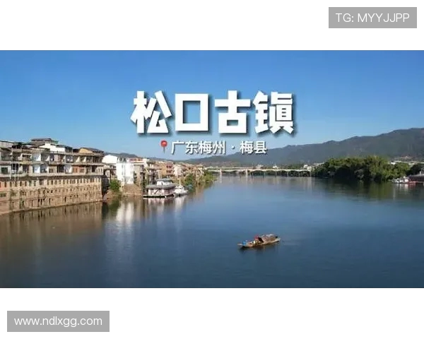 梅州客家与梅县的精彩对决直播全程回顾与分析