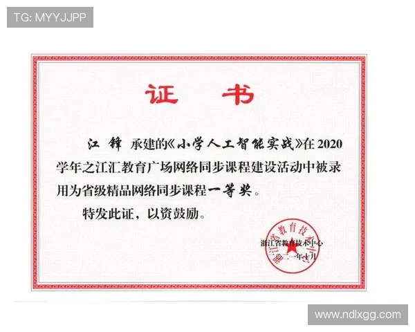 深入分析杭州排球队反击战术的独特魅力与实战应用